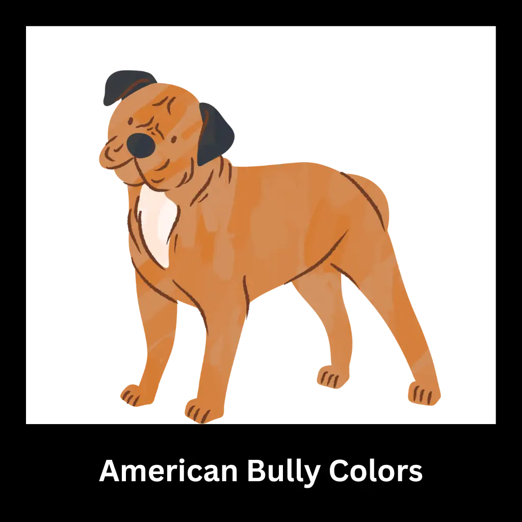 American Bully Colors Homepage